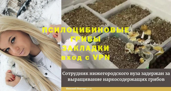 первитин Дмитровск