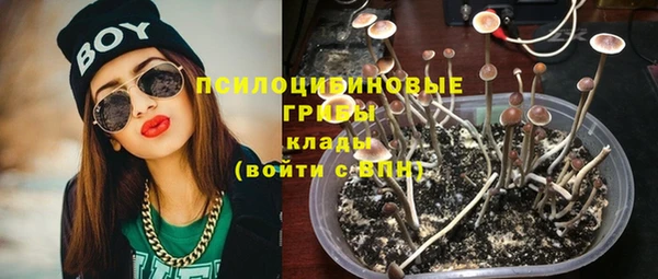 a pvp Ельня