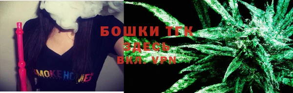 a pvp Ельня