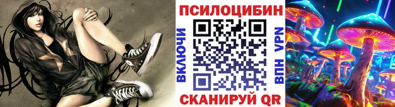 даркнет сайт  Емва  KRAKEN ССЫЛКА  Псилоцибиновые грибы мицелий 
